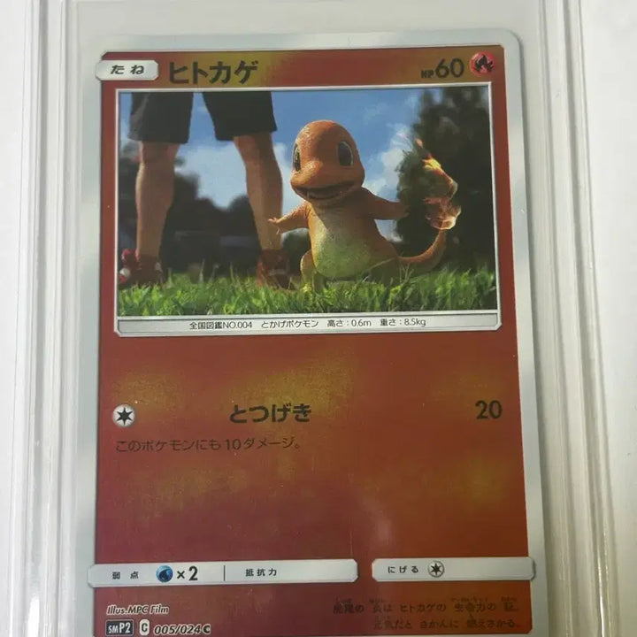 [BUNJANG] Pokemon Card Charmander Detective Pikachu (Japanese Edition) / 포켓몬 카드 파이리 명탐정 피카츄 (일어판)