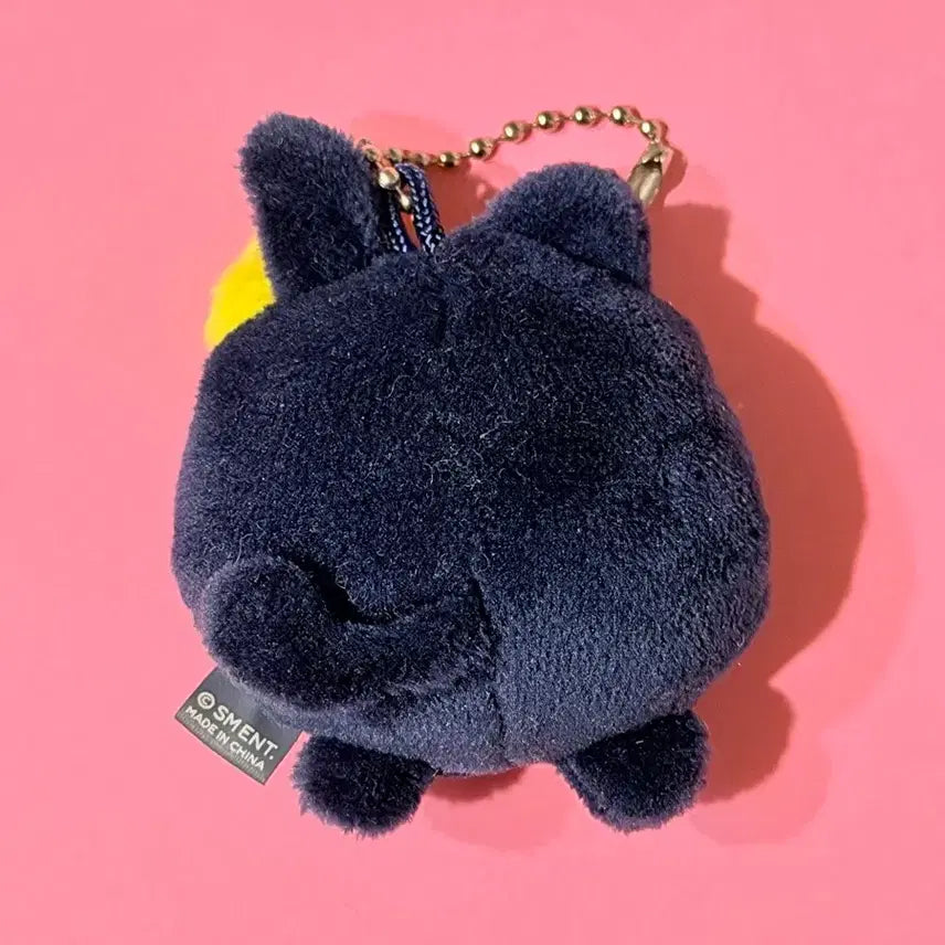 [BUNJANG] RIIZE Wonbin Mini Tto-nyangdeok Ddung-nyangdeok LyRIIZE Doll Keyring Goods / 라이즈 원빈 미니 토냥덕 뚱냥덕 리라즈 인형 키링 굿즈