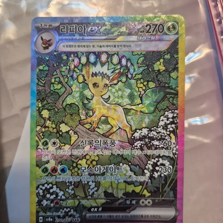 [BUNJANG] Leafeon ex SAR 200/187 Black Tempest EX Trading Card / 포켓몬카드 리피아 ex SAR 블랙볼트EX 팩개봉 미사용 (서비스도 드림)