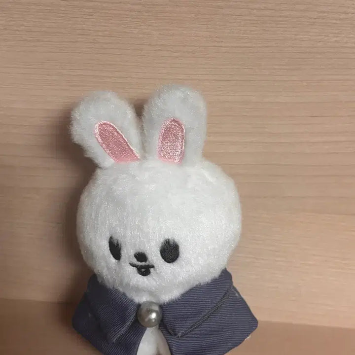 [BUNJANG] Stray Kids SKZOO Ribbit Konggumi Photocard Holder / 스키즈 매직스쿨 리빗 콩키주