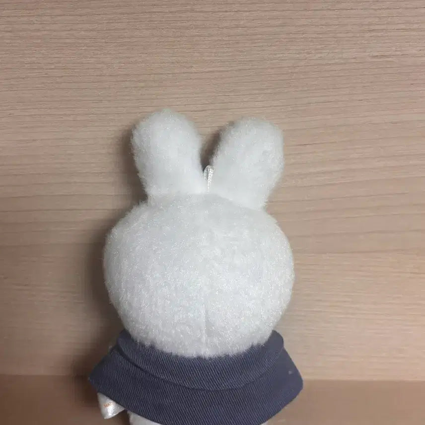 [BUNJANG] Stray Kids SKZOO Ribbit Konggumi Photocard Holder / 스키즈 매직스쿨 리빗 콩키주