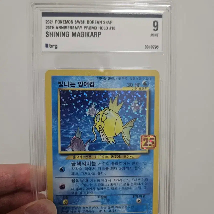 [BUNJANG] Pokemon 25th Anniversary Gyarados Card / 잉어킹  25주년 카드 팝니다