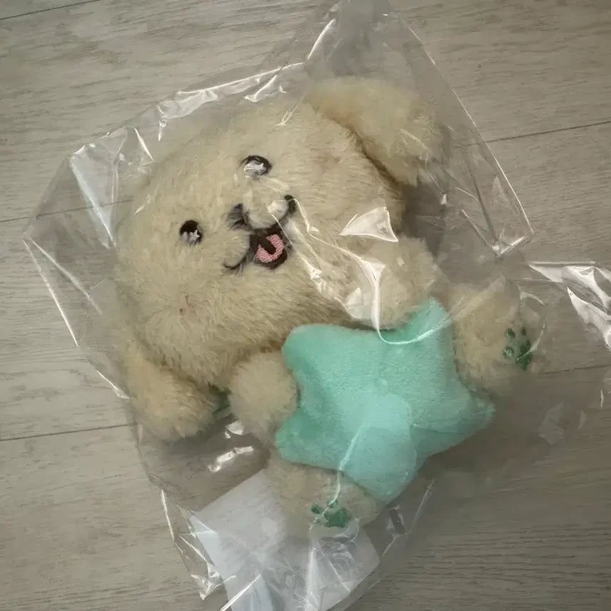 [BUNJANG] Star Wishdoll Dangtriever Photocard Holder Sealed / 스타 위시돌 댕트리버 미개봉