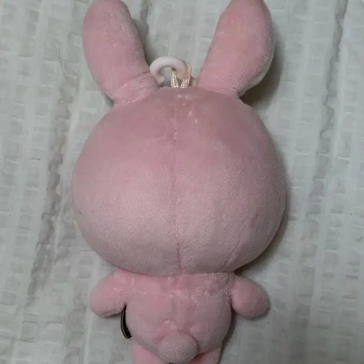 [BUNJANG] Day6 "Danimals" 19cm Plush / 데이식스 구버전 데니멀즈 19 필