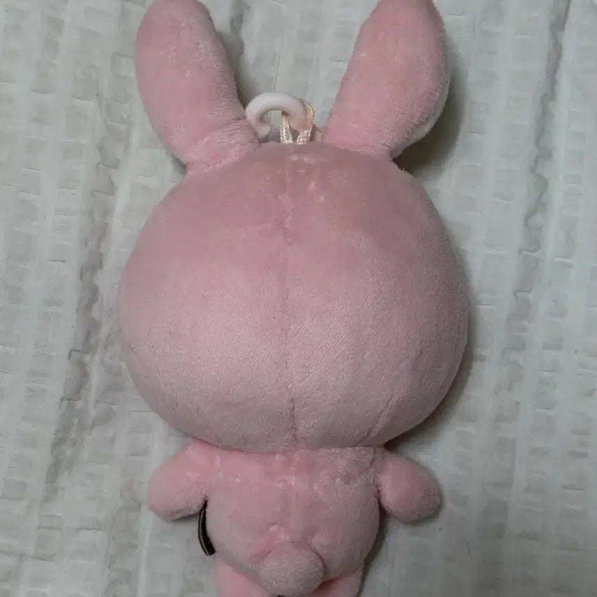 [BUNJANG] Day6 "Danimals" 19cm Plush / 데이식스 구버전 데니멀즈 19 필