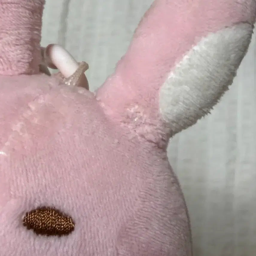 [BUNJANG] Day6 "Danimals" 19cm Plush / 데이식스 구버전 데니멀즈 19 필