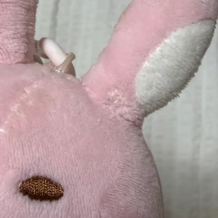 [BUNJANG] Day6 "Danimals" 19cm Plush / 데이식스 구버전 데니멀즈 19 필