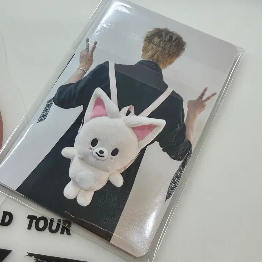 [BUNJANG] Stray Kids SKZOO RUN IT SEOUL 7/26 Admission Gift Set / 스트레이키즈 RUN IT SEOUL 7월 26일 입장기프트 stray kids skzoo