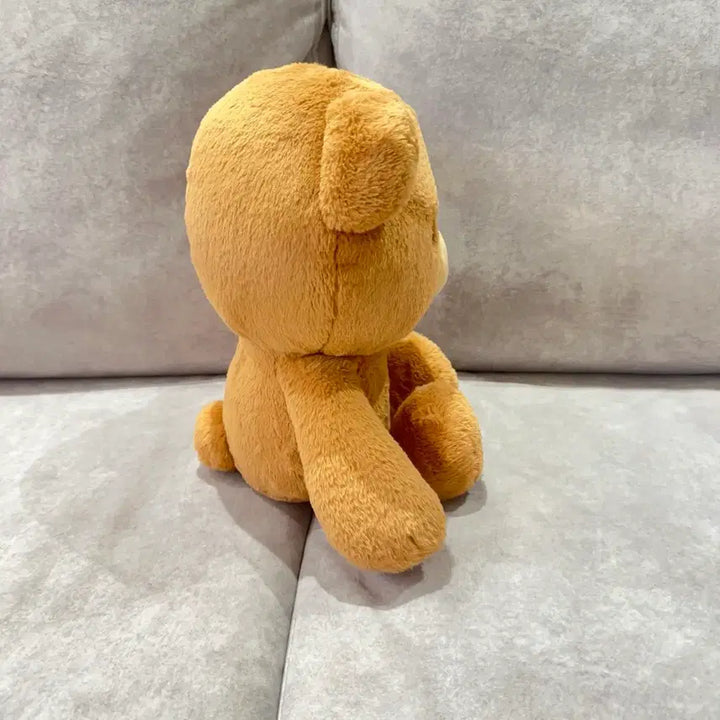 [BUNJANG] Haechan Lee Haechan Gomdolee 40cm Doll / 해찬 인형 이곰도 왕곰도 40cm 양도
