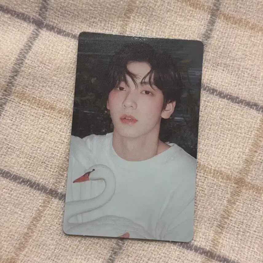 [BUNJANG] Starkissed Subin Weverse POB Photocard / starkissed 수빈 위버스 특전