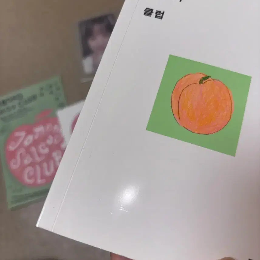 [BUNJANG] Hanroro Jamongsalgucleub Book Album CD Photocard Sticker / 한로로 자몽살구클럽 책 앨범