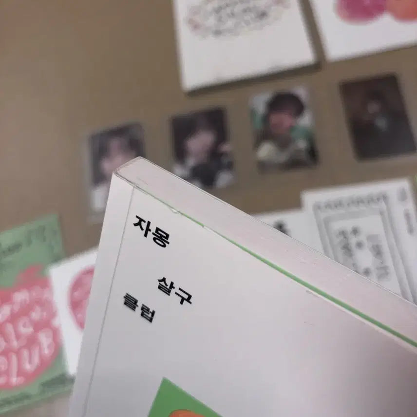 [BUNJANG] Hanroro Jamongsalgucleub Book Album CD Photocard Sticker / 한로로 자몽살구클럽 책 앨범 CD 포카 스티커