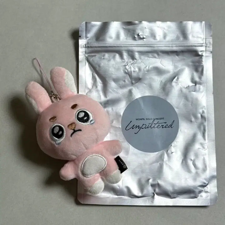 [BUNJANG] DAY6 Wonpil "Ppyangpil" Secret Keyring / 원필 시크릿 키링 뿌앵필 데이식스 양도
