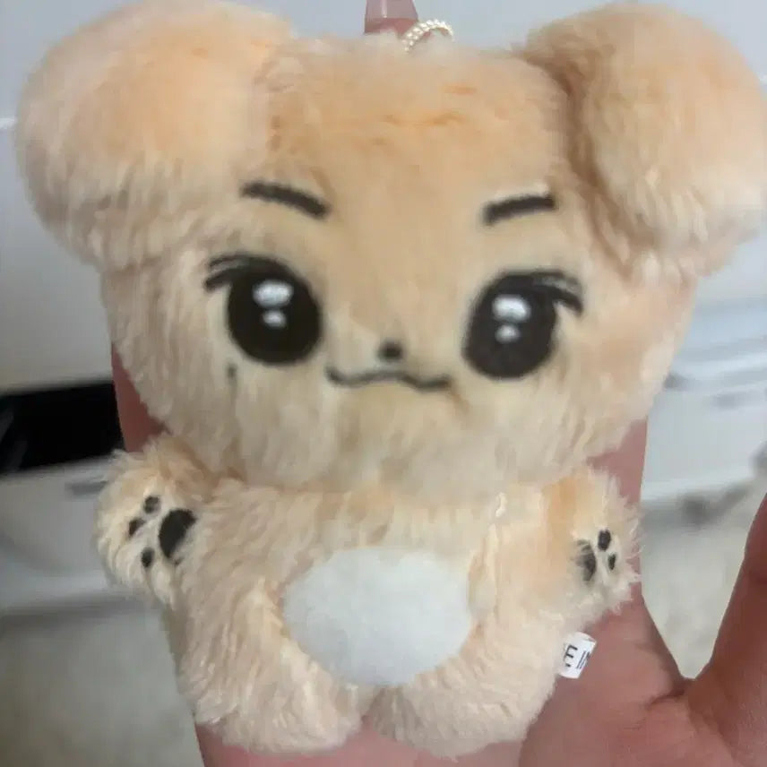 [BUNJANG] Lee Jun-young Jjunmongi Doll / 쭌몽이