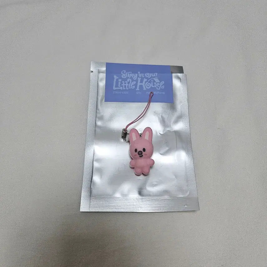 [BUNJANG] Stray Kids Changbin Dwaekki Little House Secret Mini Charm Keyring 6th Fanmeeting MD Goods / [원가이하] 스트레이키즈 창빈 돼끼 리틀하우스 스키주 시크릿 미니참 키링 6기 팬미팅 엠디 굿즈 little house
