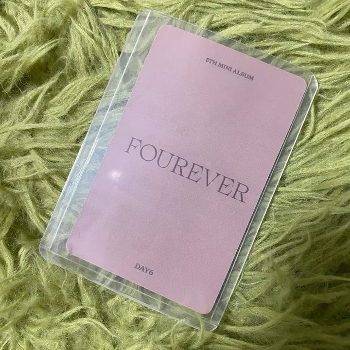 [BUNJANG] DAY6 Young K Forever ZIPSHOP Pre-order POB / 데이식스 영케이 포에버 집샵 예판 특전 미공포