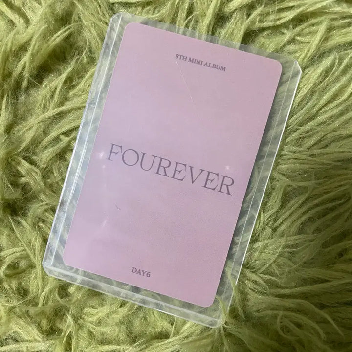 [BUNJANG] DAY6 Wonpil Forever Fansign POB Photocard / 데이식스 원필 포에버 집샵 예판 특전 미공포