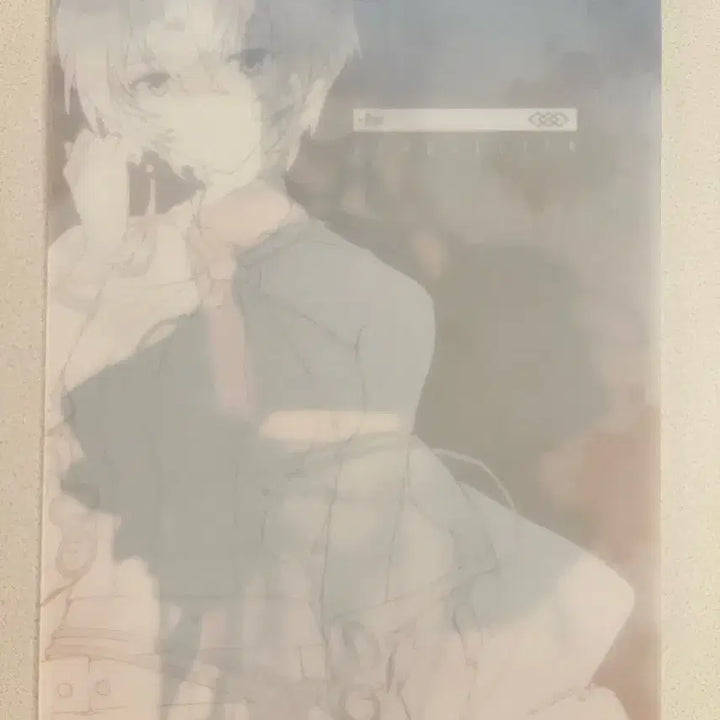 [BUNJANG] Evangelion IPSTAR Rei A4 File / 에반게리온 IPSTAR 레이 A4 파일