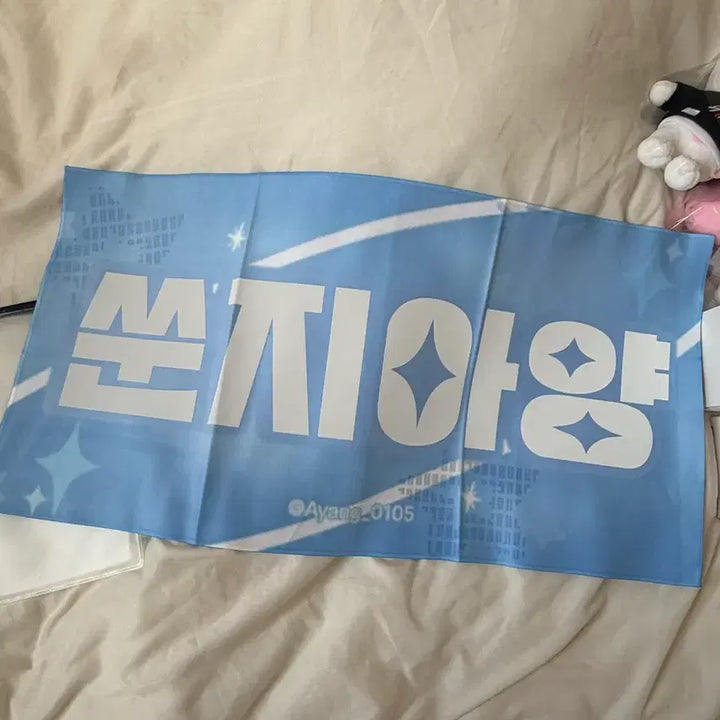 [BUNJANG] Sung Jiayang Index Slogan Boy Planet Name Board / 쑨지아양 인덱스 슬로건 보이즈플래닛 보플 네임보드