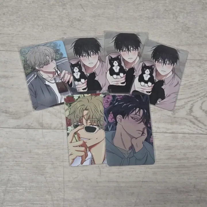 [BUNJANG] Mulgetui Bam (Mulbam) Jaeimi Shop Special Photocard Bundle Set Yeo Taejoo Kim Euihyun / 물가의 밤 물밤 재이미샵 스폐셜 포카 일괄 여태주 김의현