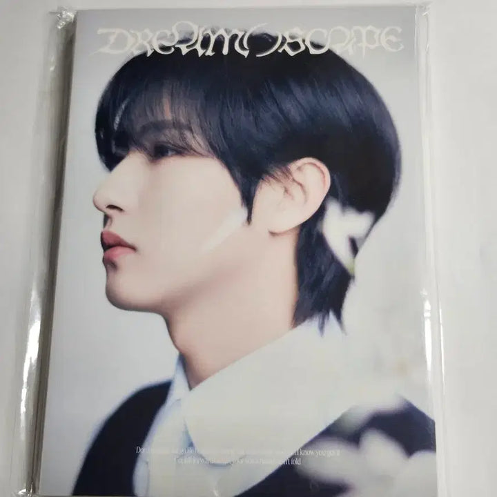 [BUNJANG] NCT Dream Renjun Dreamscape Postcard Book / 엔시티드림 런쥔 드림스케이프 엽서북