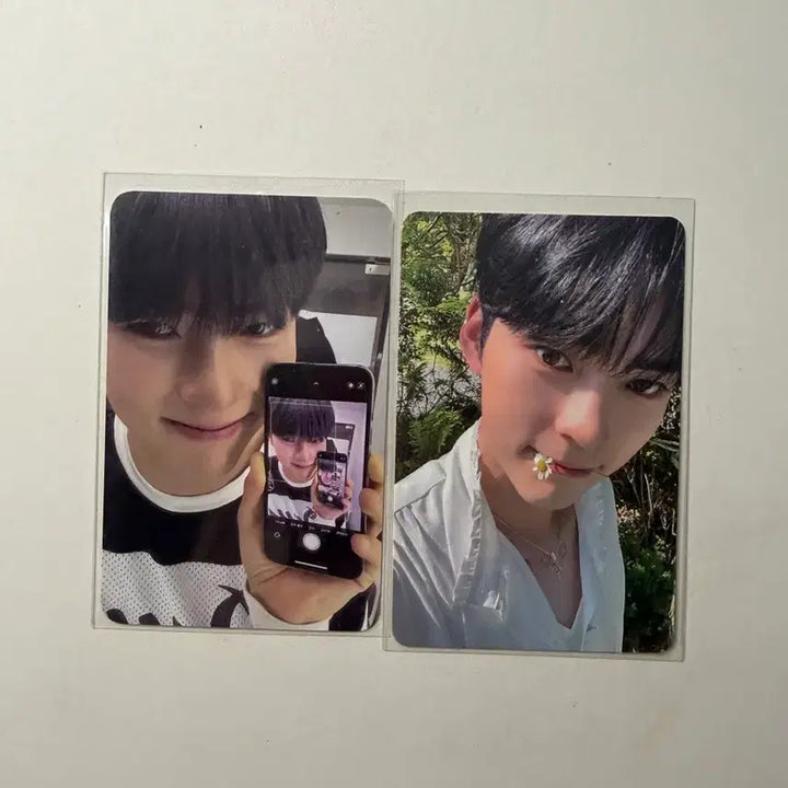 [BUNJANG] ZEROBASEONE Sung Hanbin Bundle Set Photocard / 제로베이스원 성한빈 포카 일괄 판매