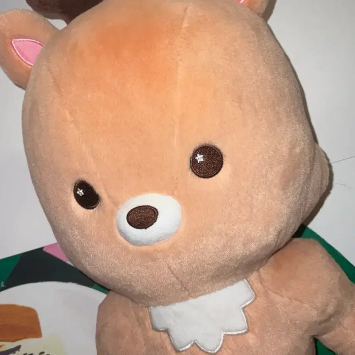 [BUNJANG] RIIZE Sungchan Urackbam 40cm Doll Liraz / 우락밤 40cm 인형 리라즈 양도 라이즈 성찬