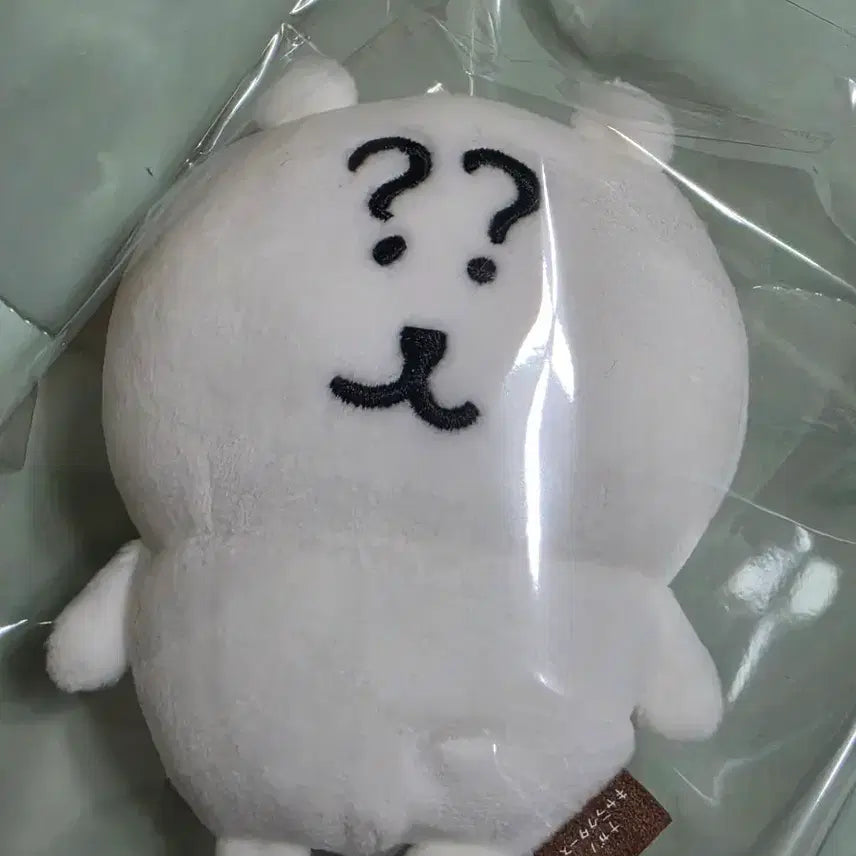 [BUNJANG] Question Mark Joking Bear Authentic Plush / 물음표 농담곰 정품