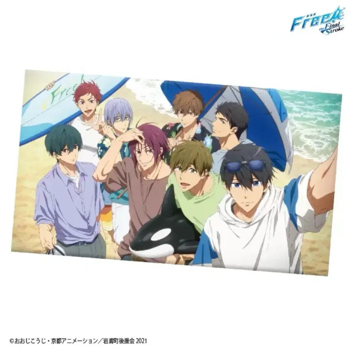 [BUNJANG] Free! The Final Stroke Multi-Cross Fabric Poster (Sealed) / (미개봉)프리 free! 멀티크로스  the Final Stroke 패브릭포스터