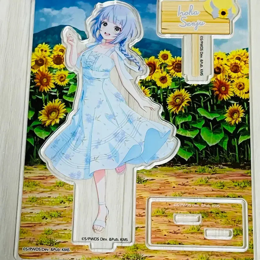 [BUNJANG] Worldstar K-Star Iroha Acrylic Display / 월드다이스타 이로하 아크릴
