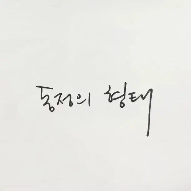 [BUNJANG] Wave Coast Snow Apple Set / 동정의형태 투명 포토카드 세트