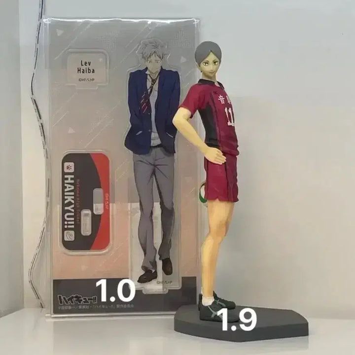 [BUNJANG] Haikyu!! Lev Haiba&