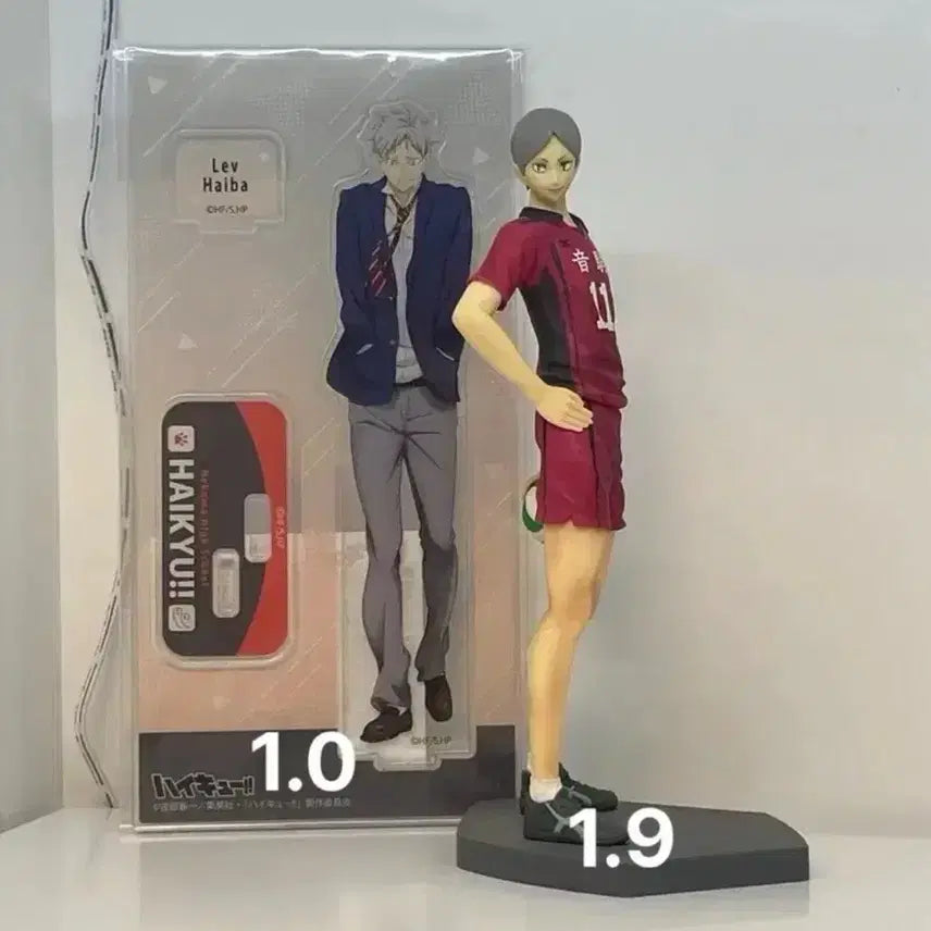 [BUNJANG] Haikyu!! Lev Haiba&