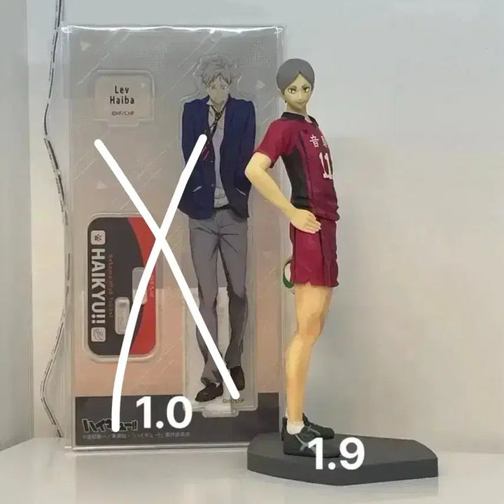 [BUNJANG] Haikyu!! Lev Haiba&