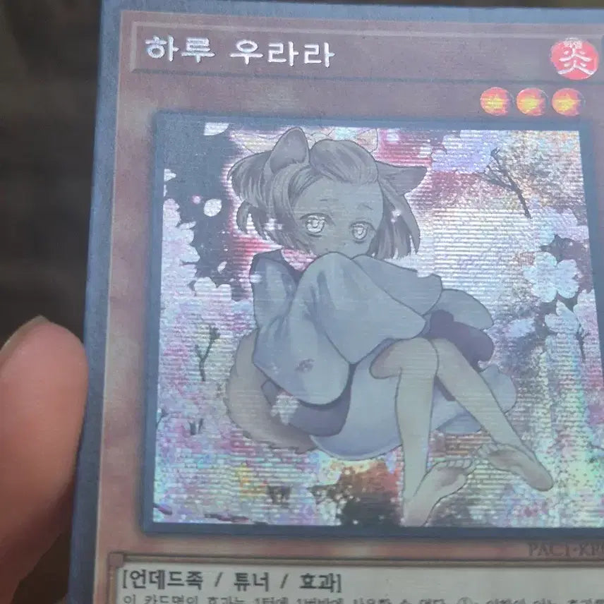 [BUNJANG] Yu-Gi-Oh! Ash Blossom &amp; Joyous Spring Secret Rare / 유희왕 하루 우라라 신일러 시크
