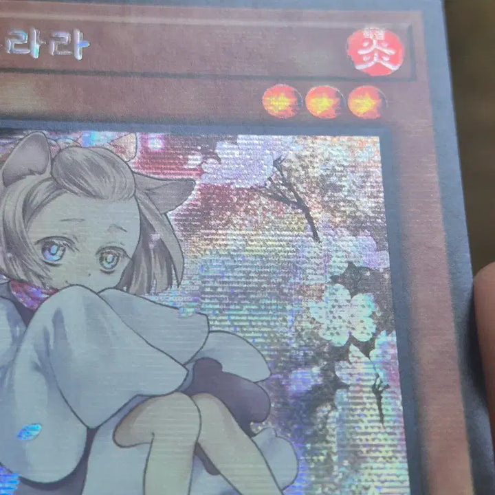 [BUNJANG] Yu-Gi-Oh! Ash Blossom &amp; Joyous Spring Secret Rare / 유희왕 하루 우라라 신일러 시크