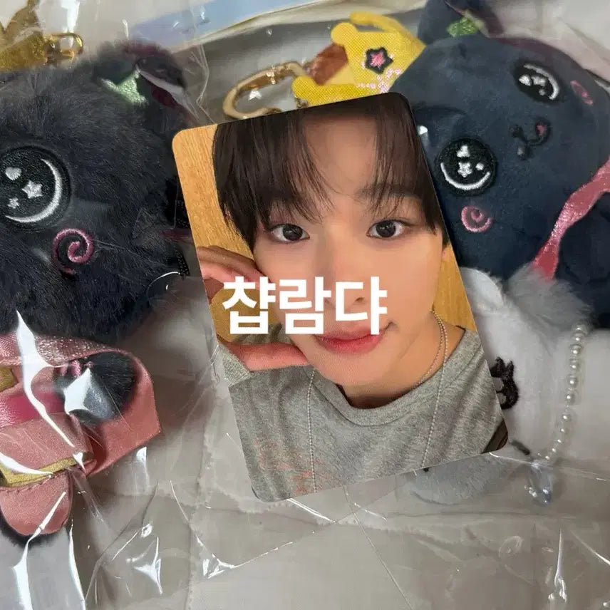 [BUNJANG] NCT Wish Wishdoll Kuri + White Horse Wishdoll Kuri Set (Sealed) / 미개봉) 프린스 위시돌 쿠리 + 백마 위시돌 쿠리 세트