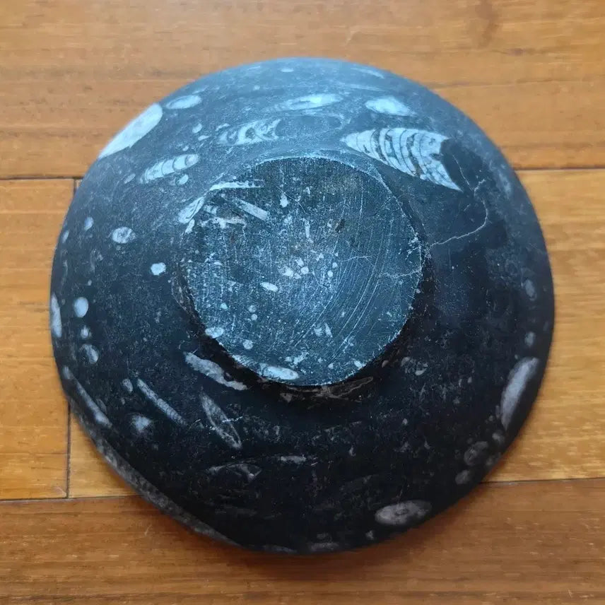 [BUNJANG] Orthoceras Fossil Stone Bowl / 화석 돌그릇 완 (오르토세라스 화석 돌그릇)