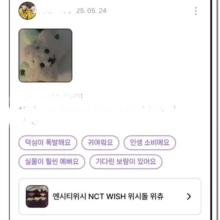 [BUNJANG] WishDoll Wichu (Jaehee) / 급처) 위시돌 위츄 (재희)