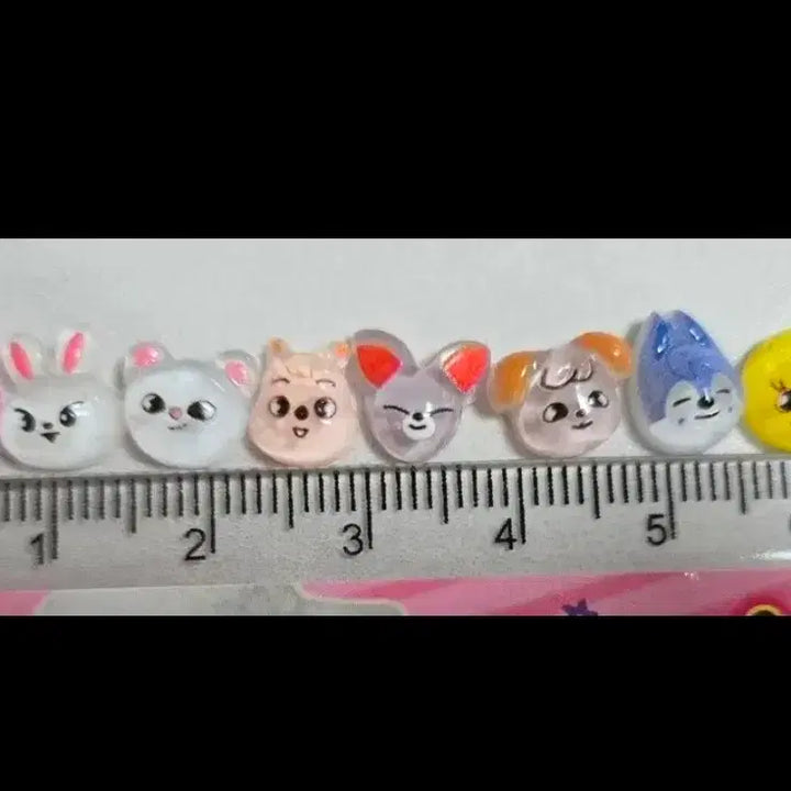 [BUNJANG] Stray Kids Dwaekki 10 Nails &amp; Random Nails Set / 스트레이키즈 돼끼 네일팁 10개와 랜덤 네일팁