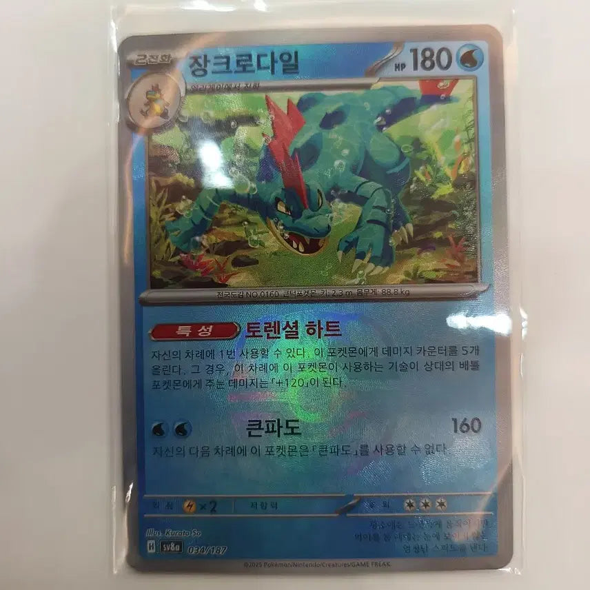 [BUNJANG] Mega Venusaur EX SR Japanese + Master Ball Feraligatr / 메가이상해꽃 sr 일판 + 마스터볼 장크로다일