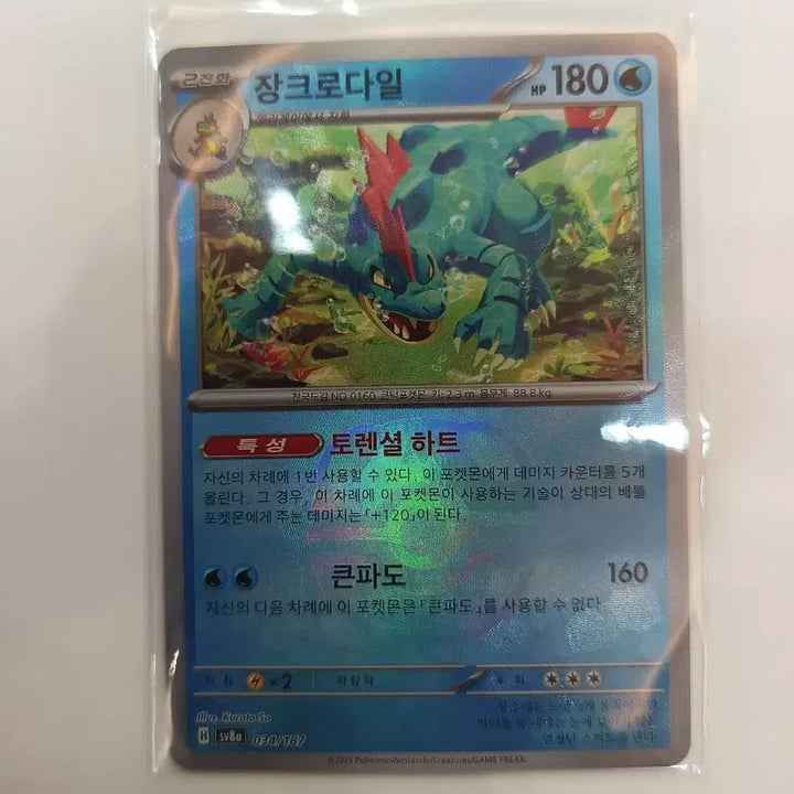 [BUNJANG] Mega Venusaur EX SR Japanese + Master Ball Feraligatr / 메가이상해꽃 sr 일판 + 마스터볼 장크로다일