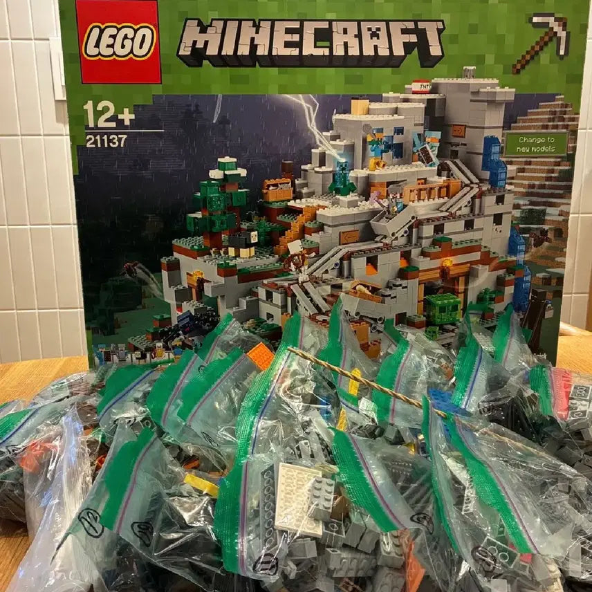 [BUNJANG] LEGO Minecraft 21137 The Mountain Cave / 레고 마인크래프트 21137 산속 동굴