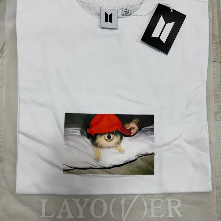 [BUNJANG] BTS V Layover Official Merchandise Oversized T-Shirt / BTS 뷔 Layover 공식 굿즈 오버사이즈 연탄이 반팔 티셔츠