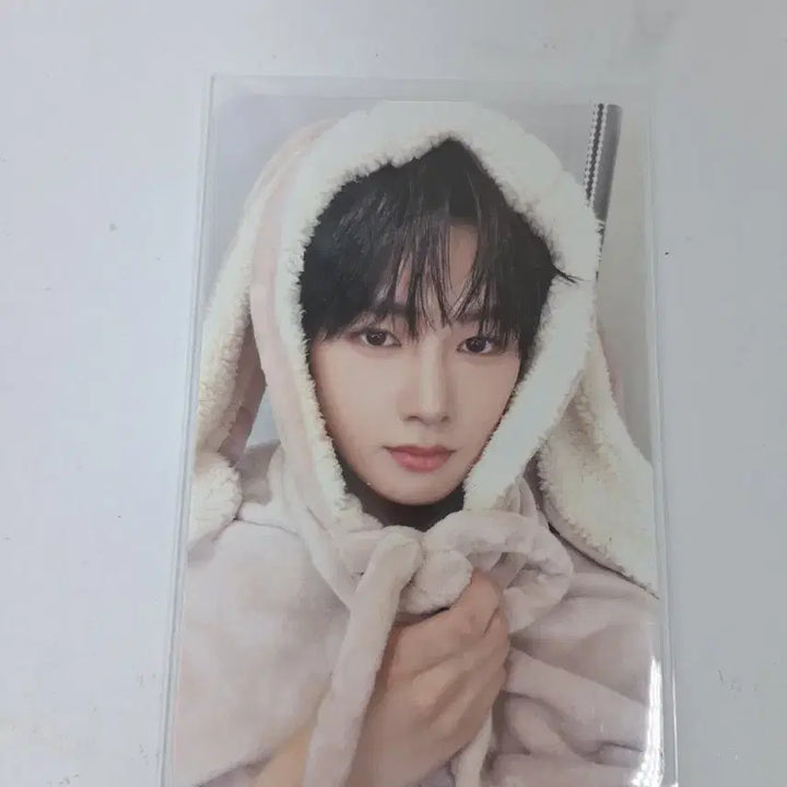 [BUNJANG] Aldi One Anshin Rabbit Blanket Photocard / 알디원 안신 토끼담요 포카 토담 메이크스타