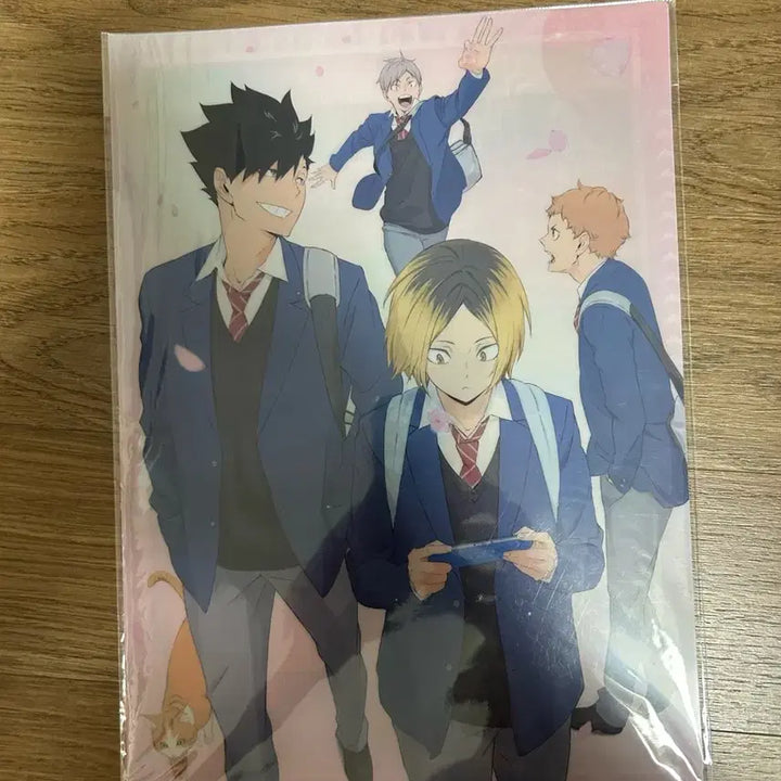 [BUNJANG] Haikyuu!! Nekoma Clear File / 하이큐 네코마 클리어파일