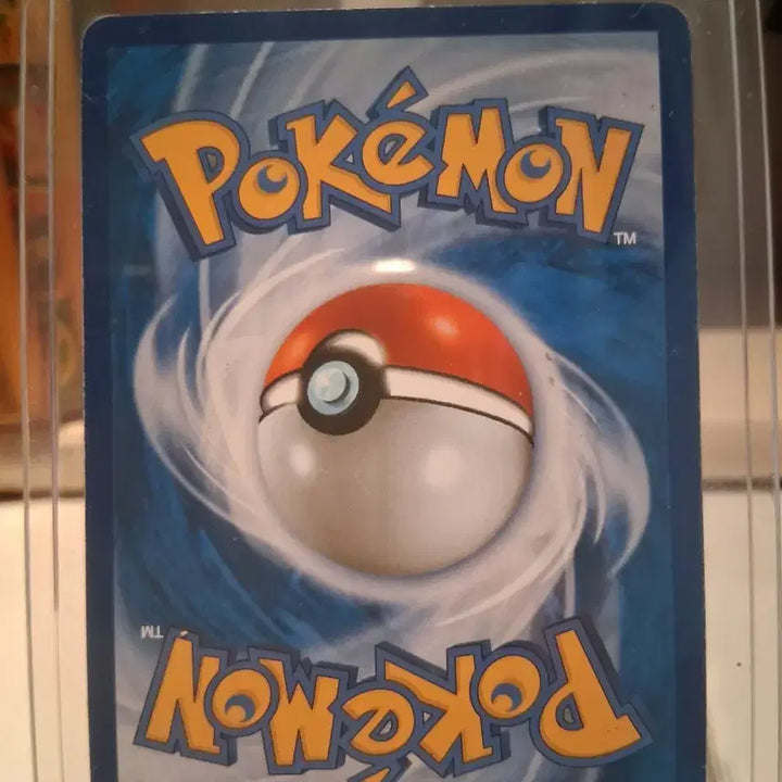 [BUNJANG] Pokemon Card Primal Groudon EX Tidal Storm 2015 / 포켓몬카드 2015 원시가이오가 EX 타이달스톰 (네고 O)