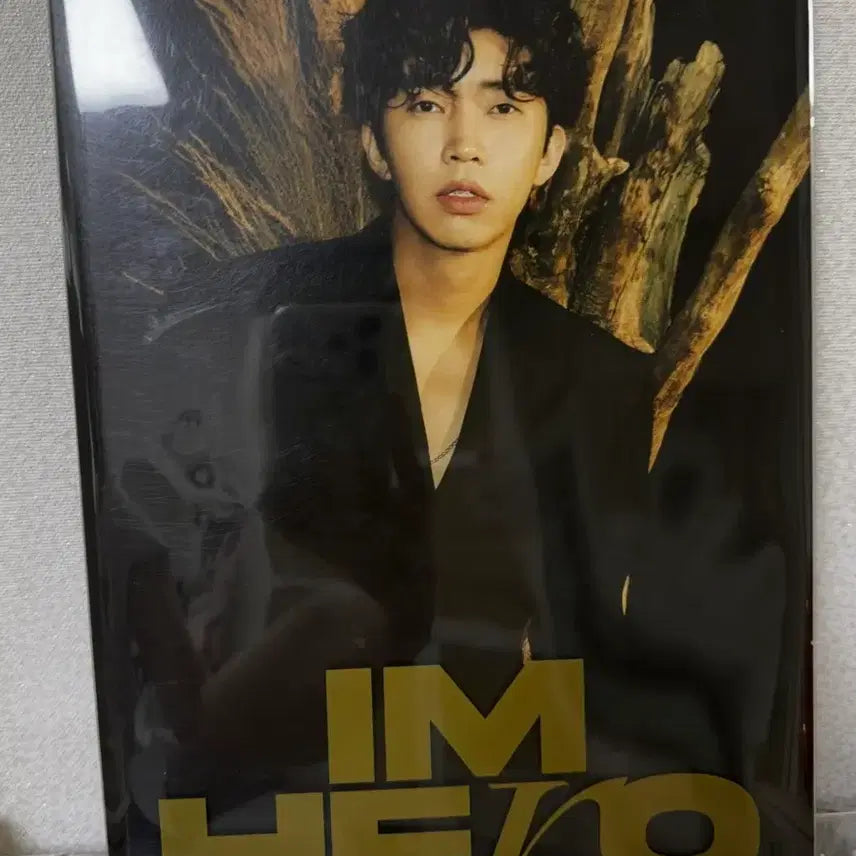 [BUNJANG] Lim Young Woong IM HERO Official Album Vol. 1 / 임영웅 [IM HERO] 정규 1집 앨범
