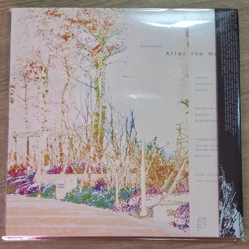 [BUNJANG] Parannoul After The Magic LP Insomnia Green Limited Edition Vinyl / 한정판 파란노을 after the magic LP insomnia green