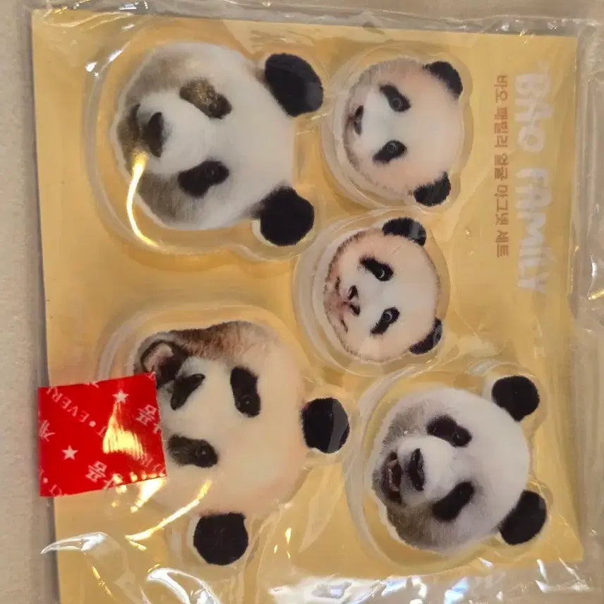 [BUNJANG] Bao Family Panda Face Acrylic Magnet Set / 판다,바오패밀리,얼굴,아크릴마그넷